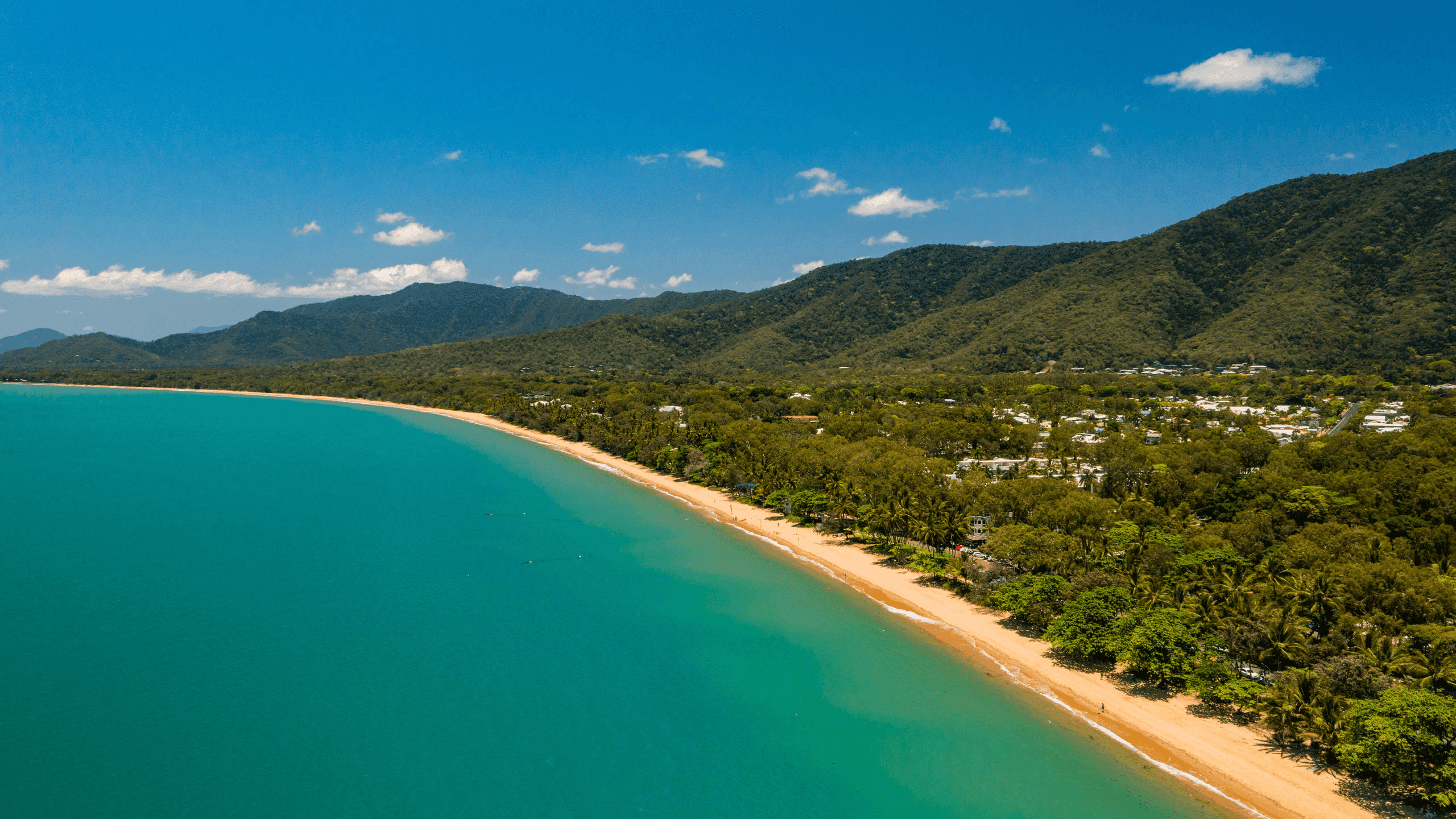 palm cove